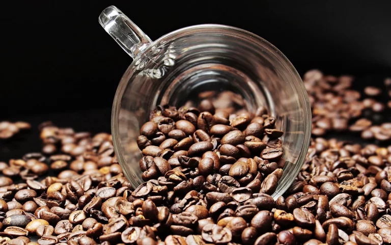 Startup defende que beber café é racismo: “Supremacia branca”